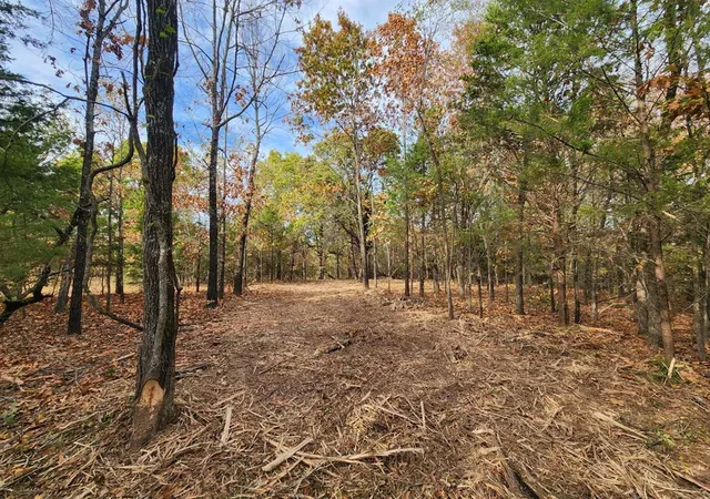 3rd image of E 1160 Rd, Checotah, OK 74426 | MLS# 1229515