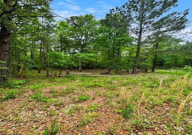 Photo 3 of Land for sale at N Us 259 Frontage Hwy, Broken Bow, OK 74728 | MLS# 1229823 | Listing updated on 2026-07-21