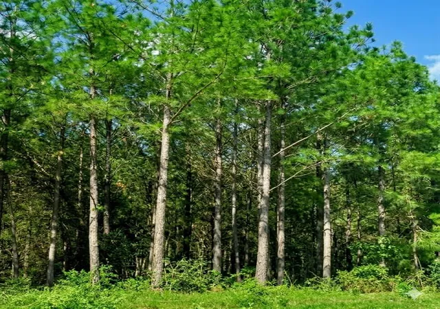 Photo 3 of Land for sale at 399 Camp Ranch Rd, Broken Bow, OK 74728 | MLS# 1230481 | Listing updated on 2026-06-08