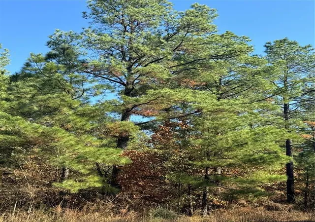 Photo 3 of Land for sale at 205 Bear Cedar Trl, Broken Bow, OK 74728 | MLS# 1230487 | Listing updated on 2026-05-21