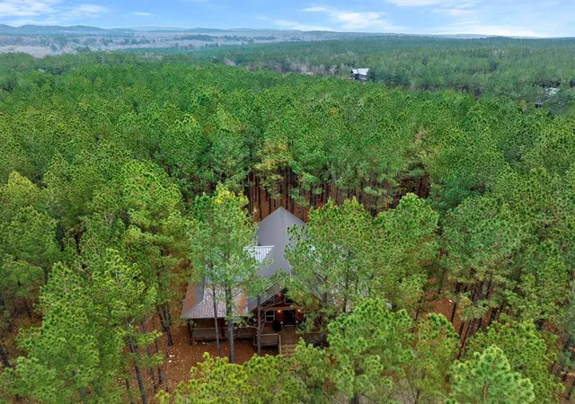 4th image of 338 Lost Creek Trl, Broken Bow, OK 74728 | MLS# 1231954