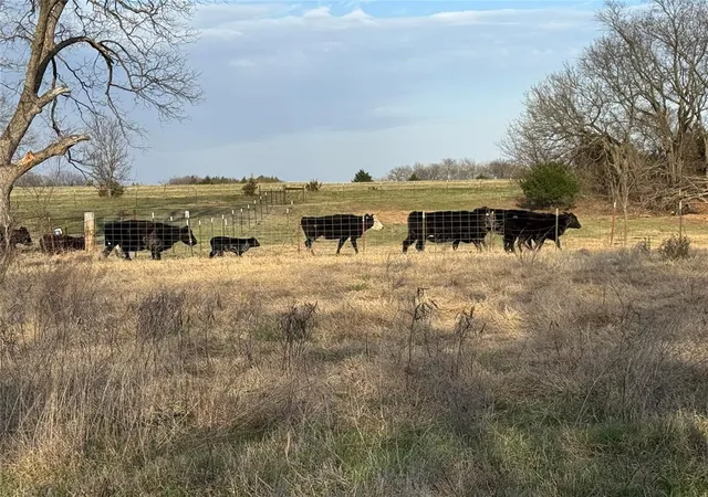 Homes for sale in Stratford, OK | 9304 County Road 3440, Stratford, OK 74872 | MLS# 1231979