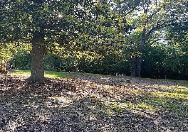 Photo 3 of Land for sale at 901 Dierks St, Broken Bow, OK 74728 | MLS# 1232096 | Listing updated on 2026-08-18