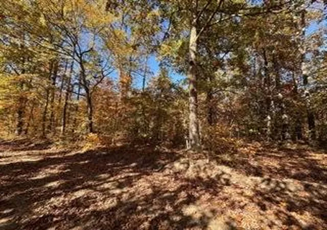 Photo 2 of Land for sale at 391 Freshwater Rd, Broken Bow, OK 74728 | MLS# 1232116 | Listing updated on 2026-08-15