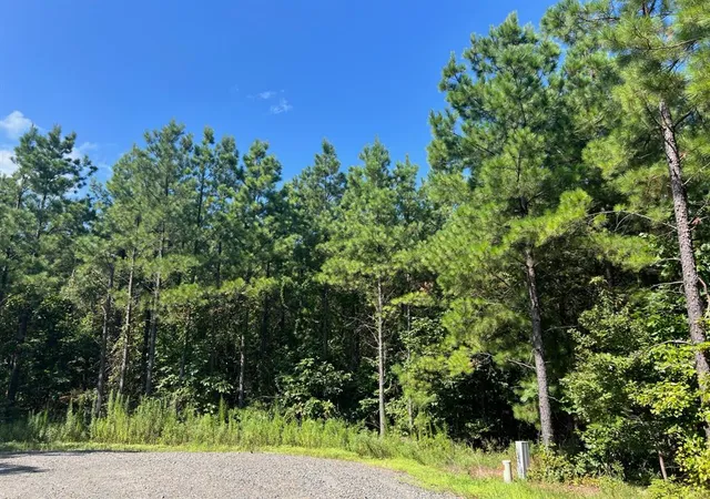 Homes for sale in Broken Bow, OK | 53 Weathered Timber Trl, Broken Bow, OK 74728 | MLS# 1232695