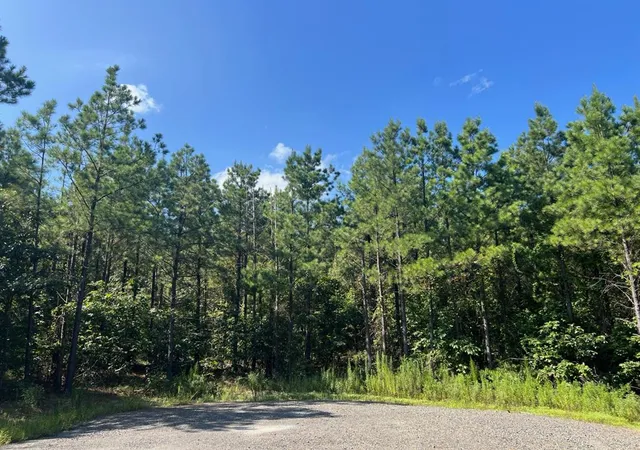 Homes for sale in Broken Bow, OK | 53 Weathered Timber Trl, Broken Bow, OK 74728 | MLS# 1232695