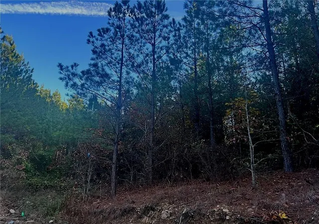Photo 1 of Land for sale at 160 Red Fern Trl, Broken Bow, OK 74728 | MLS# 1232725 | Listing updated on 2026-08-18