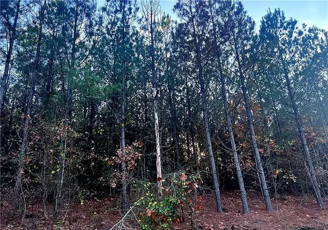 Photo 2 of Land for sale at 160 Red Fern Trl, Broken Bow, OK 74728 | MLS# 1232725 | Listing updated on 2026-08-18