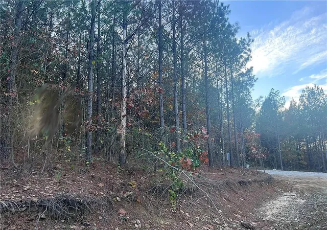 Photo 3 of Land for sale at 160 Red Fern Trl, Broken Bow, OK 74728 | MLS# 1232725 | Listing updated on 2026-08-18