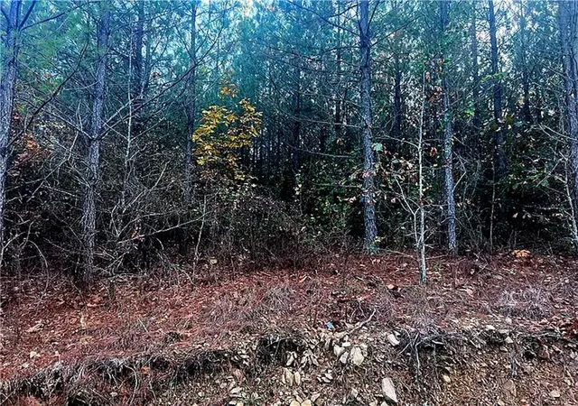 Photo 4 of Land for sale at 160 Red Fern Trl, Broken Bow, OK 74728 | MLS# 1232725 | Listing updated on 2026-08-18
