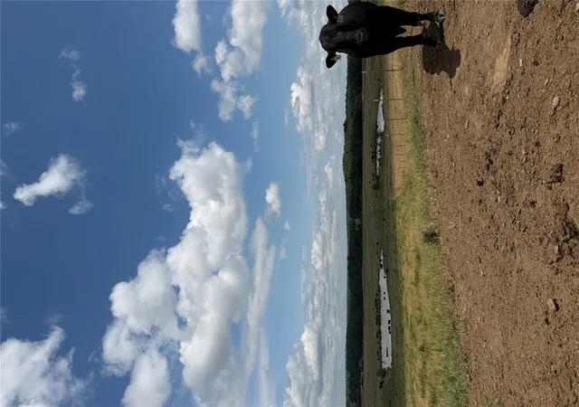 Photo 4 of Land for sale at (Undisclosed), Mc Curtain, OK 74944 | MLS# 1233548 | Listing updated on 2026-07-29