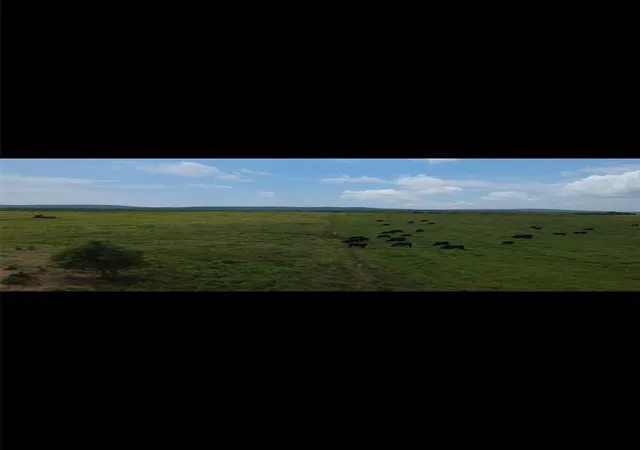 Photo 3 of Land for sale at (Undisclosed), Mc Curtain, OK 74944 | MLS# 1233548 | Listing updated on 2026-07-29