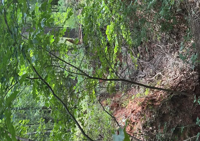 Photo 6 of Land for sale at 14311 Indian Ridge, Newalla, OK 74857 | MLS# 1233982 | Listing updated on 2026-08-29
