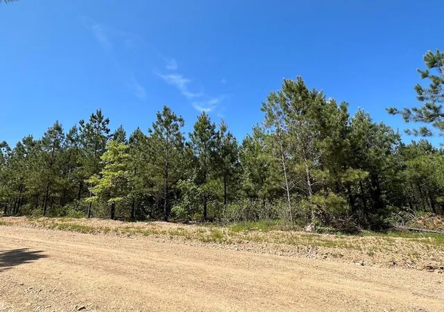 Homes for sale in Broken Bow, OK | 135 Crooked Stick Trl, Broken Bow, OK 74728 | MLS# 1234148