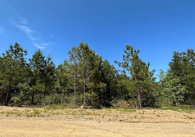 Homes for sale in Broken Bow, OK | 135 Crooked Stick Trl, Broken Bow, OK 74728 | MLS# 1234148