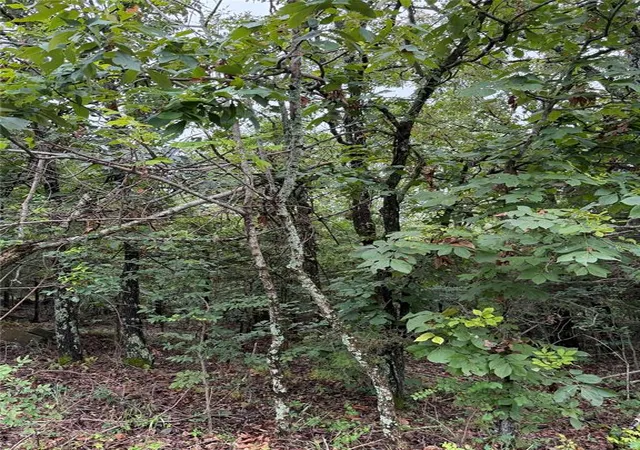 Photo 3 of Land for sale at Near 81st St, Muskogee, OK 74403 | MLS# 1234930 | Listing updated on 2026-06-25