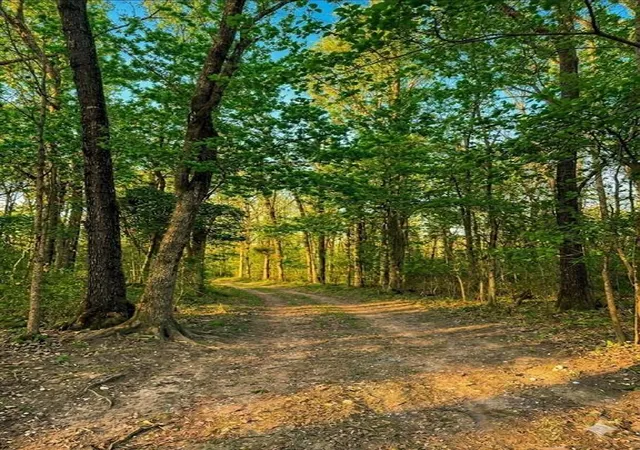 7th image of 381 W Sherry Ln, Broken Bow, OK 74728 | MLS# 1234972