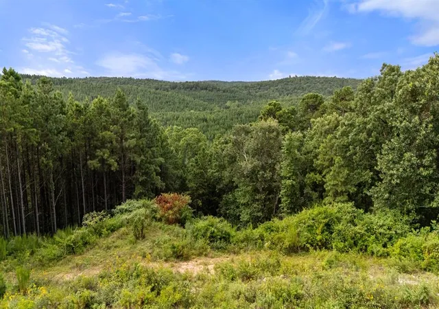 1st image of 28 Alder Pl, Broken Bow, OK 74728 | MLS# 1235224