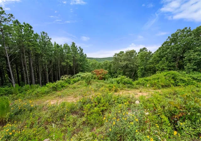18th image of 28 Alder Pl, Broken Bow, OK 74728 | MLS# 1235224