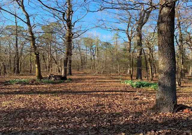 Photo 3 of Land for sale at 1251 Joe Hough Rd, Broken Bow, OK 74728 | MLS# 1235295 | Listing updated on 2026-06-30