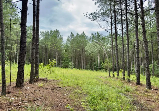 Photo 2 of Land for sale at 40 Hochacedar Trl, Broken Bow, OK 74728 | MLS# 1235465 | Listing updated on 2026-09-21