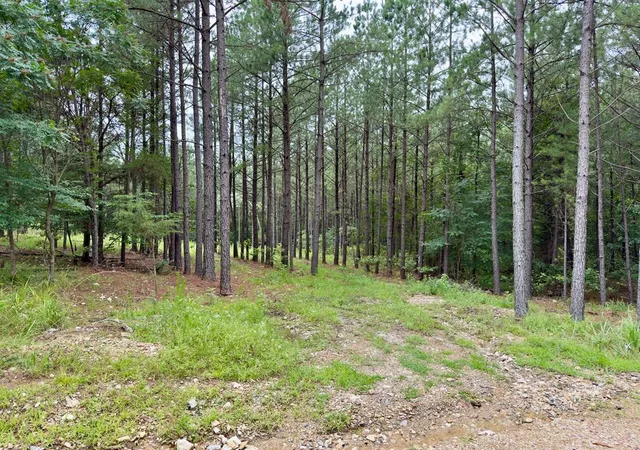 Photo 3 of Land for sale at 40 Hochacedar Trl, Broken Bow, OK 74728 | MLS# 1235465 | Listing updated on 2026-09-21