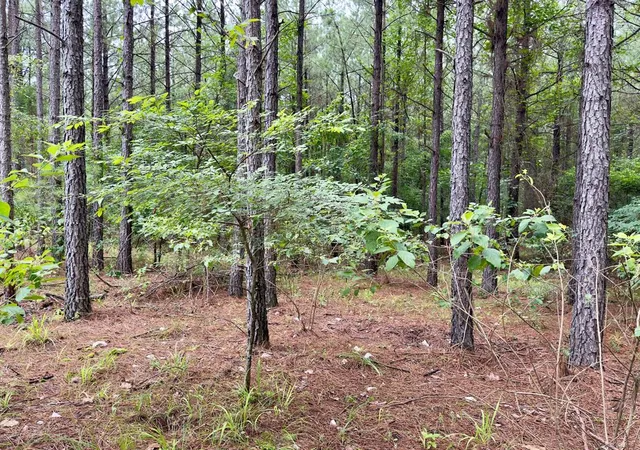 Photo 3 of Land for sale at 40 Hochacedar Trl, Broken Bow, OK 74728 | MLS# 1235465 | Listing updated on 2026-09-21
