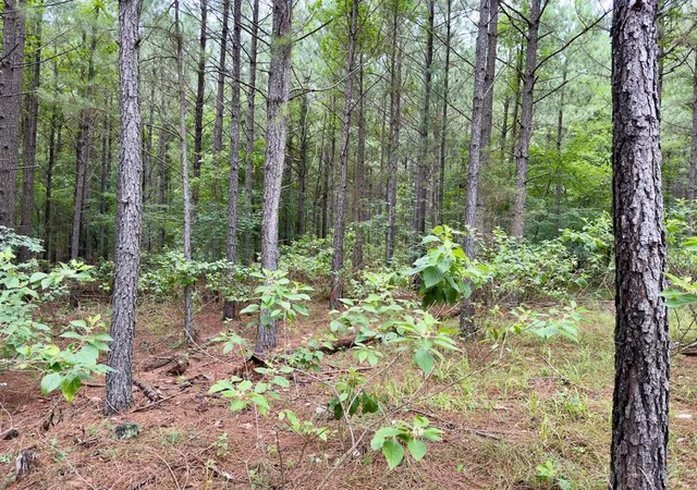Photo 4 of Land for sale at 40 Hochacedar Trl, Broken Bow, OK 74728 | MLS# 1235465 | Listing updated on 2026-09-21