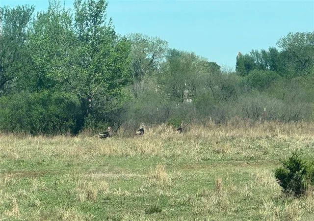 4th image of Cs 2860, Chickasha, OK 73018 | MLS# 1235803