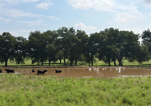 1st image of 00 Ew 1170 Rd, Earlsboro, OK 74840 | MLS# 1236350