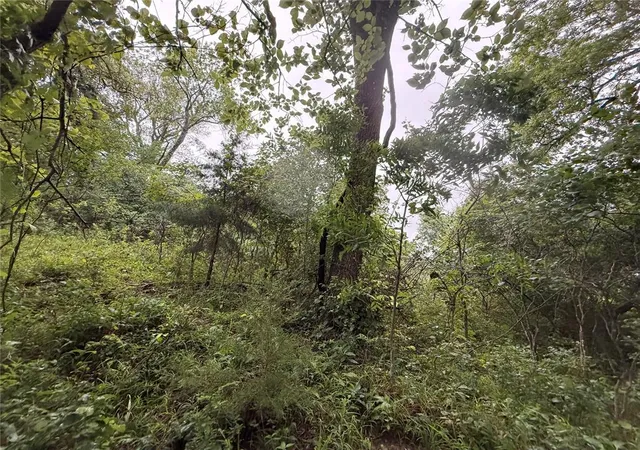 Photo 3 of Land for sale at 00 Ew 1170 Rd, Earlsboro, OK 74840 | MLS# 1236350 | Listing updated on 2026-07-16