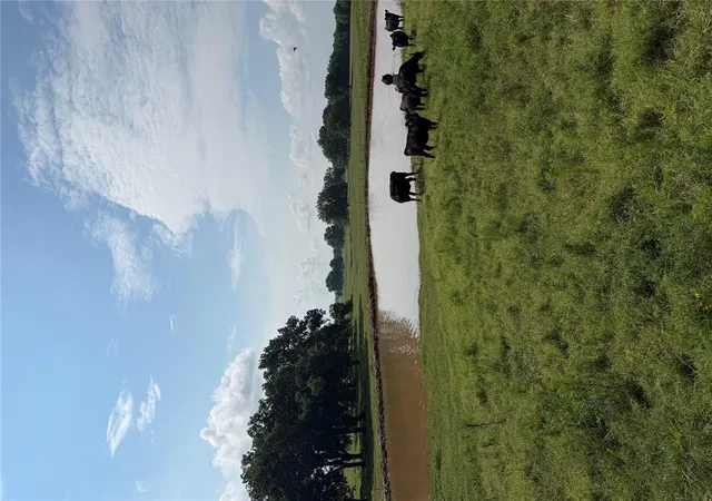23rd image of 00 Ew 1170 Rd, Earlsboro, OK 74840 | MLS# 1236350