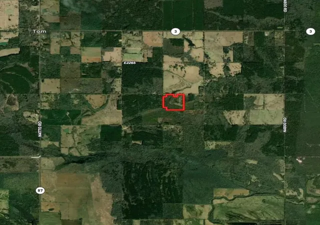 Homes for sale in Haworth, OK | 000 Tbd Butler Road Road, Haworth, OK 74740 | MLS# 1236480