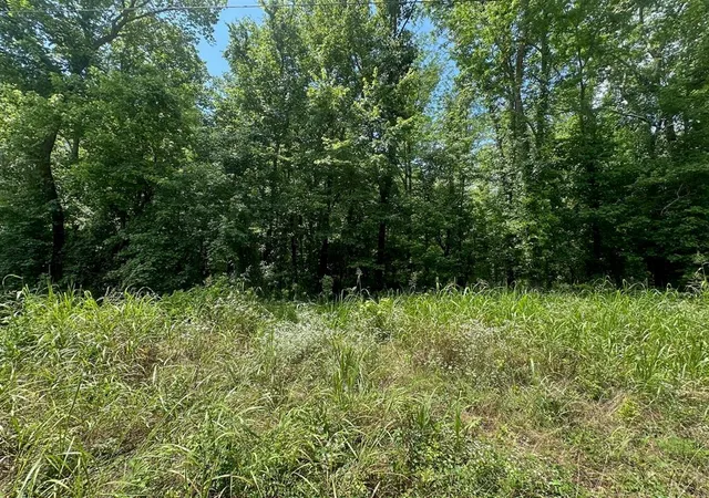 Homes for sale in Haworth, OK | 000 Tbd Butler Road Road, Haworth, OK 74740 | MLS# 1236480
