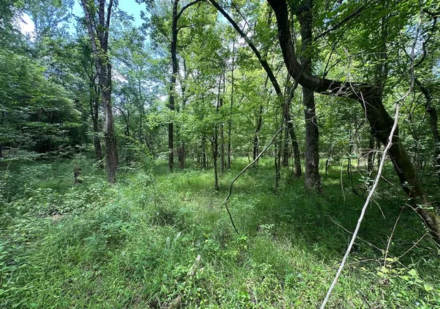 39th image of 000 Tbd Butler Road Road, Haworth, OK 74740 | MLS# 1236480