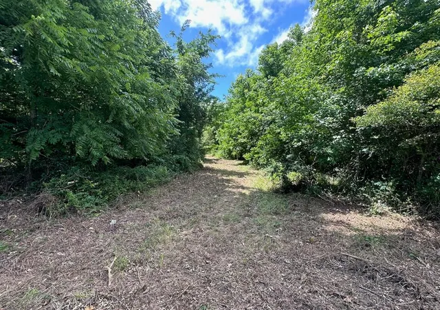 Homes for sale in Haworth, OK | 000 Tbd Butler Road Road, Haworth, OK 74740 | MLS# 1236480