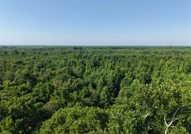 4th image of 000 Tbd Butler Road Road, Haworth, OK 74740 | MLS# 1236480