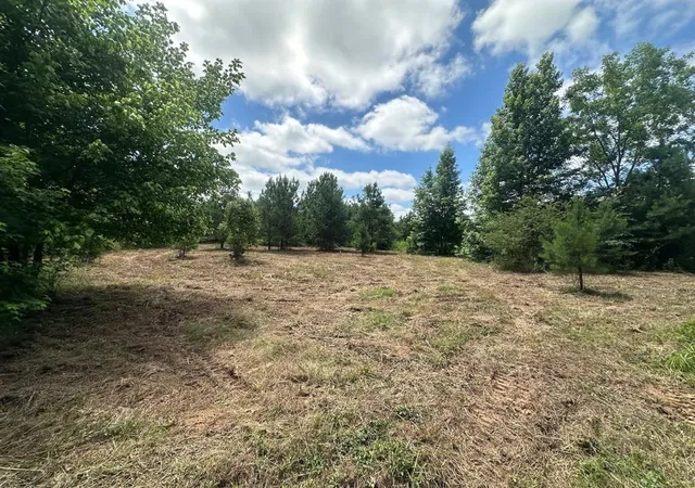 Homes for sale in Haworth, OK | 000 Tbd Butler Road Road, Haworth, OK 74740 | MLS# 1236480