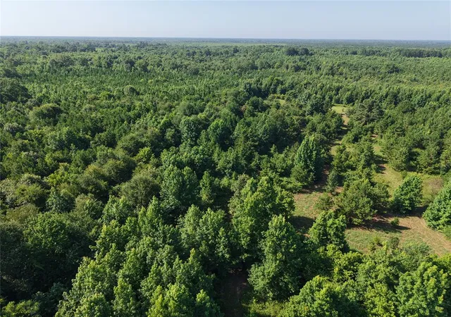5th image of 000 Tbd Butler Road Road, Haworth, OK 74740 | MLS# 1236480