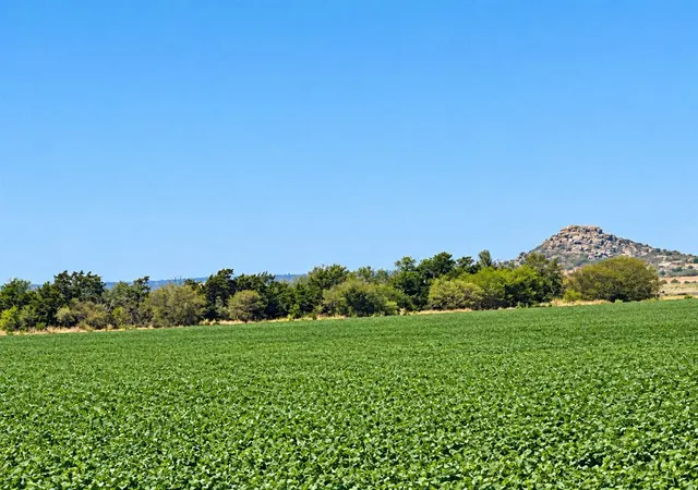 Photo 2 of Land for sale at Na, Roosevelt, OK 73651 | MLS# 1236819 | Listing updated on 2026-10-16
