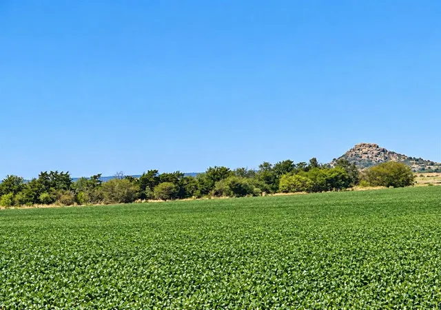 Photo 3 of Land for sale at Na, Roosevelt, OK 73651 | MLS# 1236819 | Listing updated on 2026-10-16
