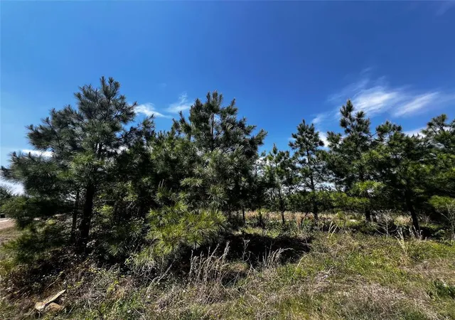 Photo 3 of Land for sale at 62 Br Johnson Rd, Broken Bow, OK 74728 | MLS# 1236914 | Listing updated on 2026-08-19