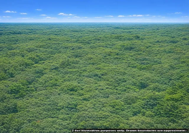 Homes for sale in Red Oak, OK | 123 No Address Rd, Red Oak, OK 74563 | MLS# 1237300
