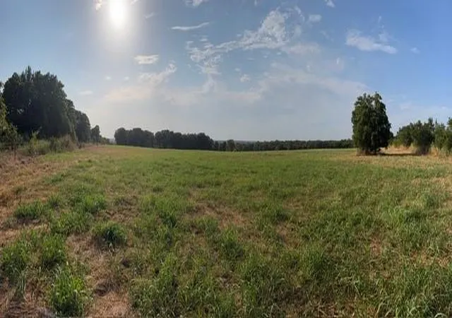 Photo 3 of Land for sale at 970279 S 3475 Road, Sparks, OK 74869 | MLS# 1237895 | Listing updated on 2026-10-08