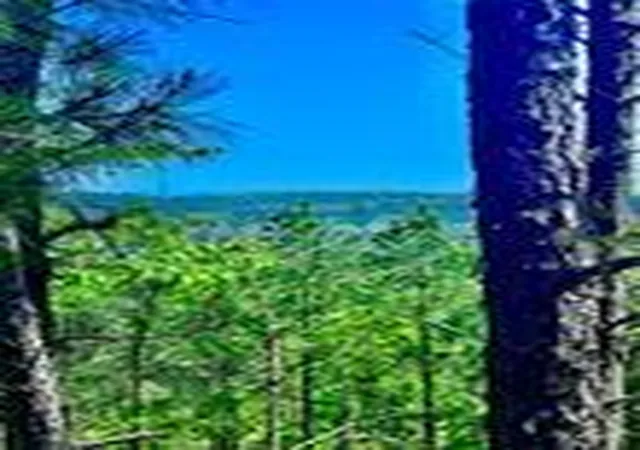 1st image of 48 N Wild Cherry St, Broken Bow, OK 74728 | MLS# 1238400