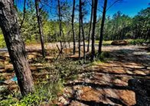 4th image of 48 N Wild Cherry St, Broken Bow, OK 74728 | MLS# 1238400