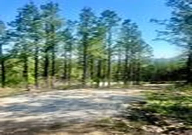 5th image of 48 N Wild Cherry St, Broken Bow, OK 74728 | MLS# 1238400