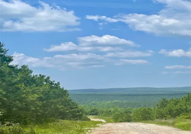 Homes for sale in Broken Bow, OK | 75 Sliding Hill Trl, Broken Bow, OK 74728 | MLS# 1238464