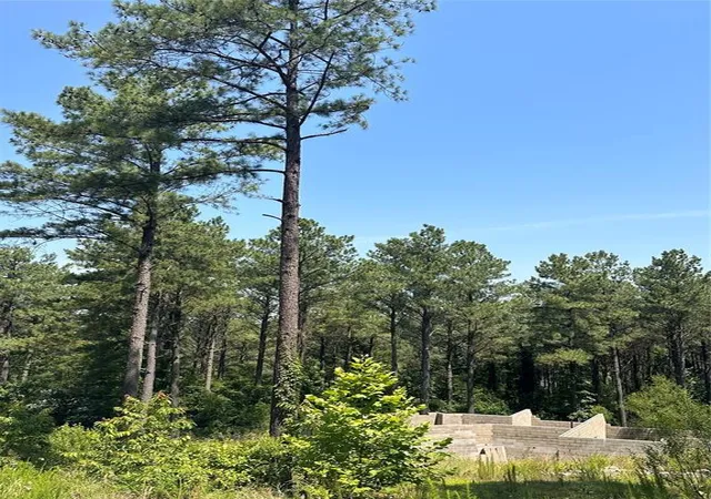 Photo 3 of Land for sale at 85 Green Apple Trl, Broken Bow, OK 74728 | MLS# 1238534 | Listing updated on 2026-09-05