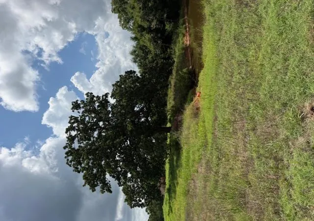 2nd image of 20211 Pleasant Hill Rd, Asher, OK 74826 | MLS# 1239383